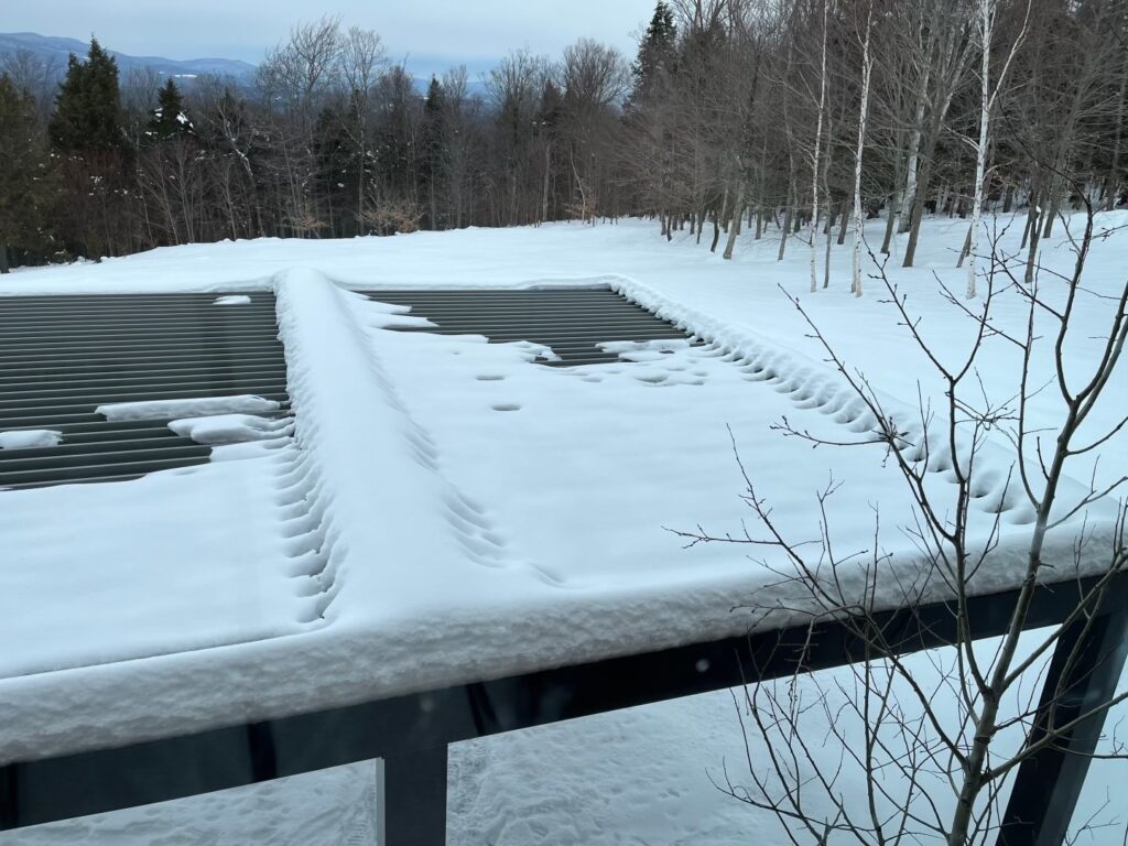 Snow Over Pergola